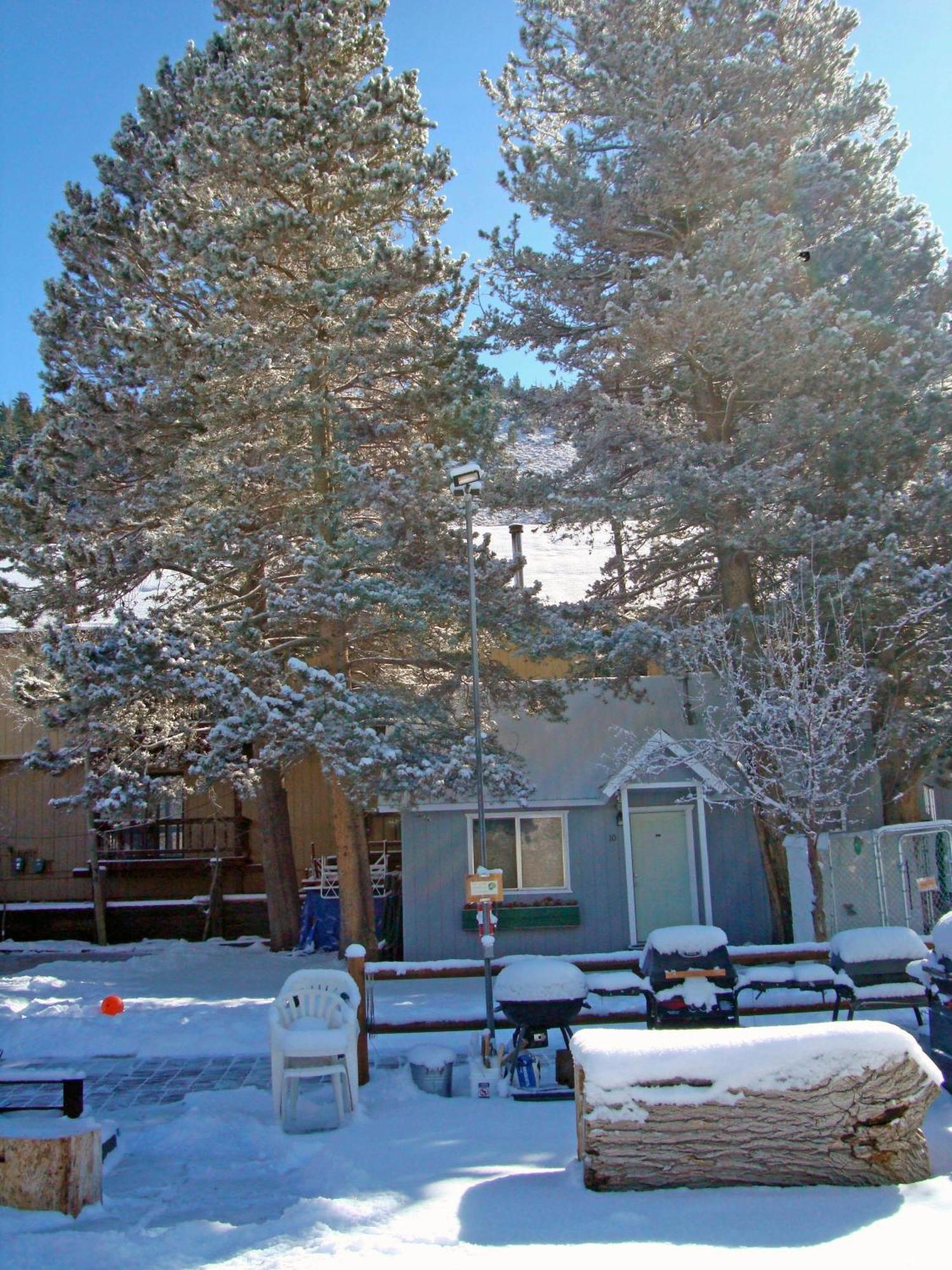 Lake Front Cabins 준 레이크 외부 사진